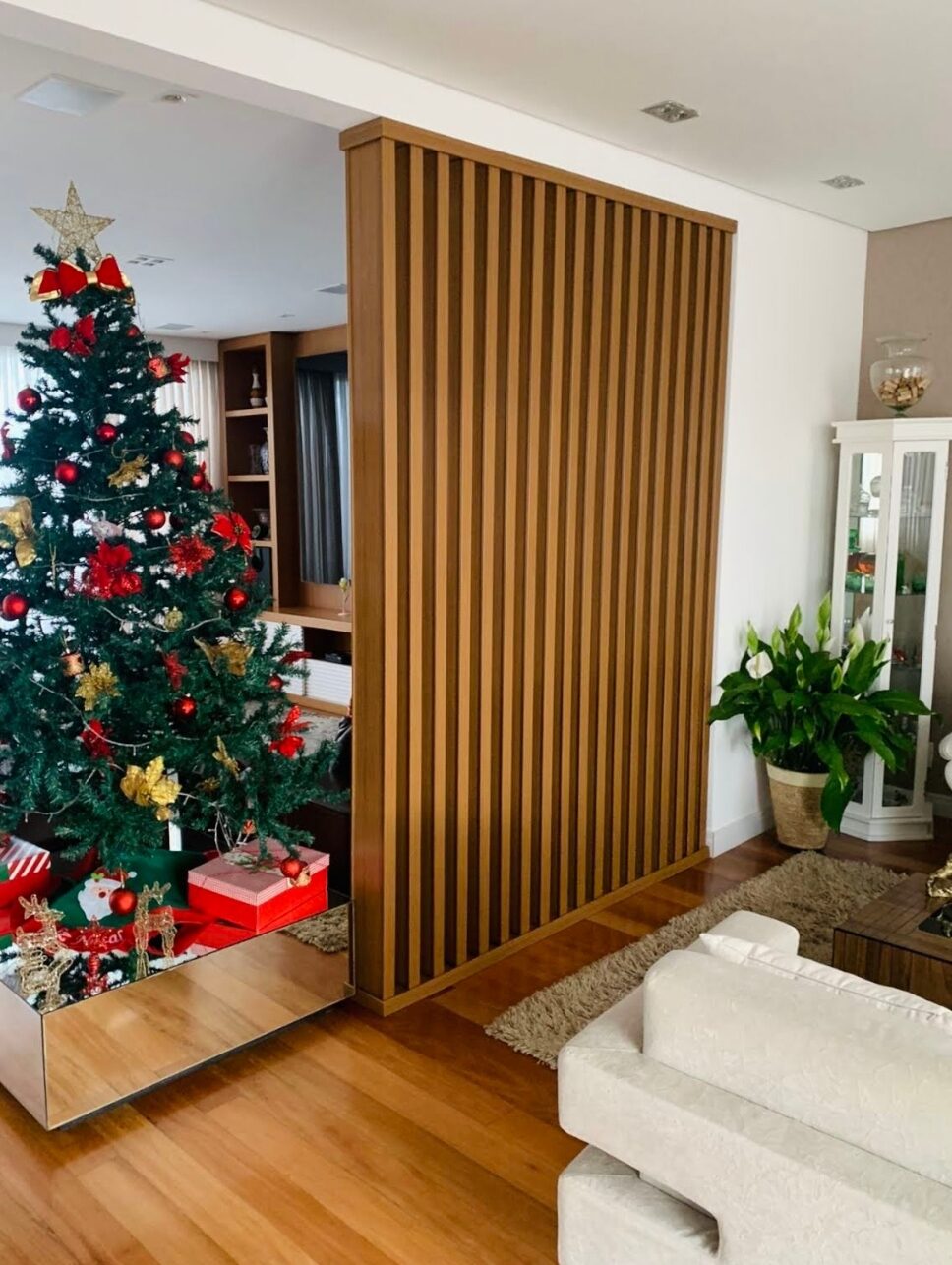 Breeze room divider in the living room